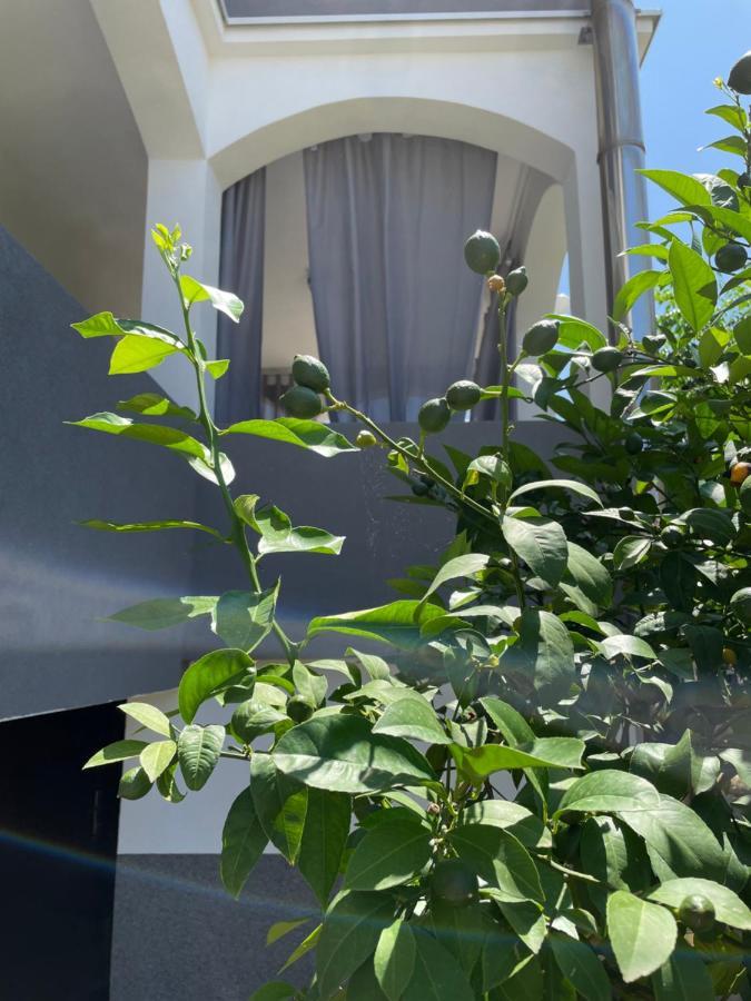 Apartament Mare Zadar Zewnętrze zdjęcie